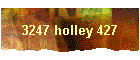 3247 holley 427