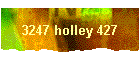 3247 holley 427