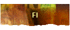 FI