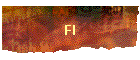 FI