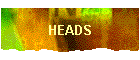 HEADS