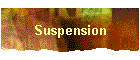 Suspension